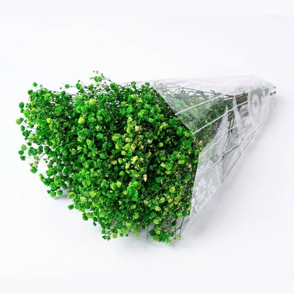 Preserved Baby's Breath Green