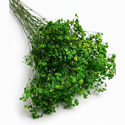 Preserved Baby's Breath Green