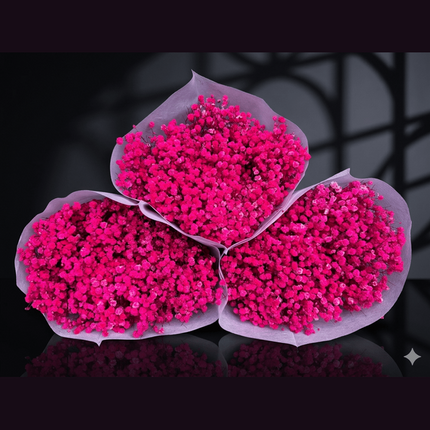 Preserved Baby's Breath Hot Pink