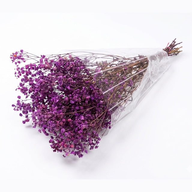 Preserved Baby's Breath Light Purple