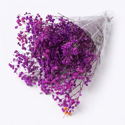 Preserved Baby's Breath Light Purple