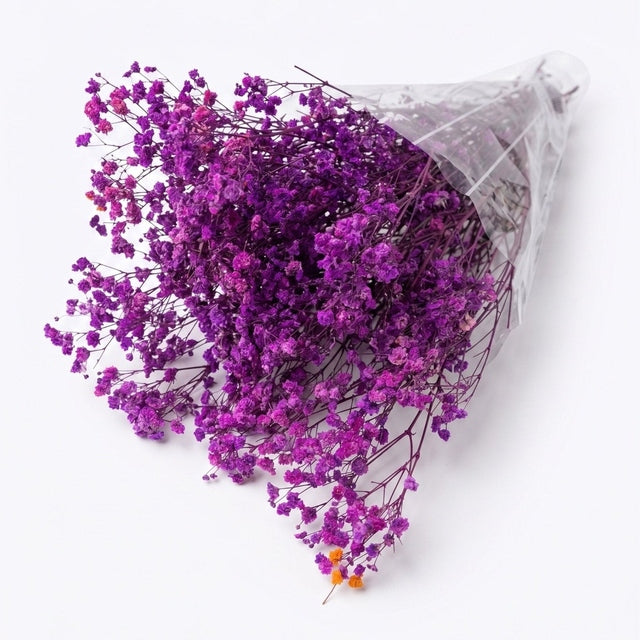 Preserved Baby's Breath Light Purple