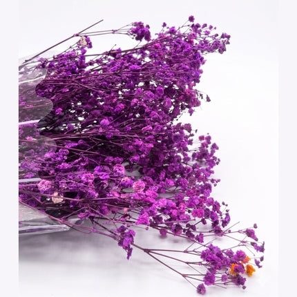 Preserved Baby's Breath Light Purple