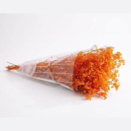 Preserved Baby's Breath Orange