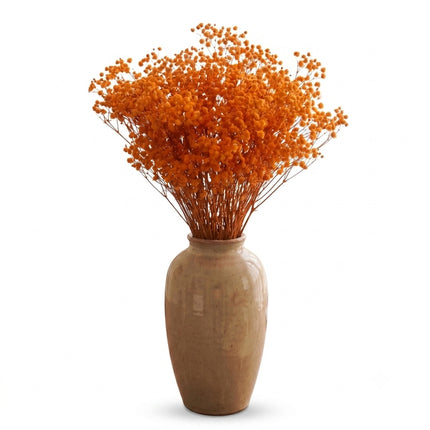 Preserved Baby's Breath Orange