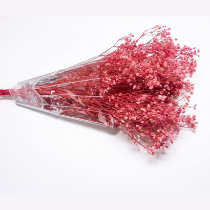 Preserved Baby's Breath Pink