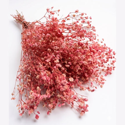 Preserved Baby's Breath Pink