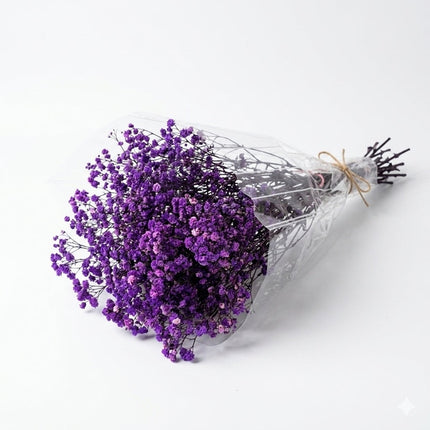 Preserved Baby's Breath Purple