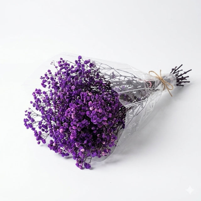 Preserved Baby's Breath Purple