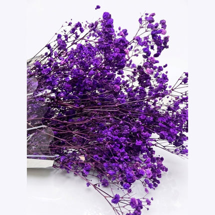 Preserved Baby's Breath Purple