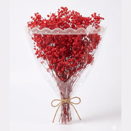Preserved Baby's Breath Red
