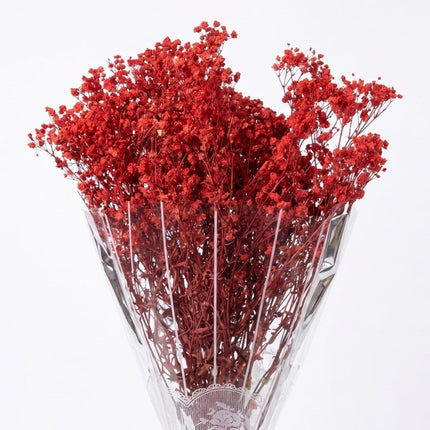 Preserved Baby's Breath Red