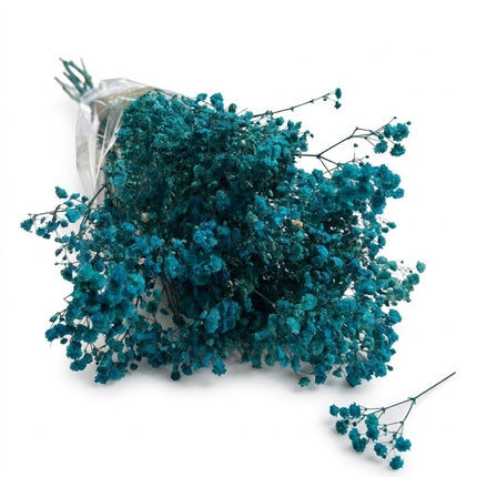 Preserved Baby's Breath Teal