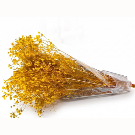 Preserved Baby's Breath Yellow