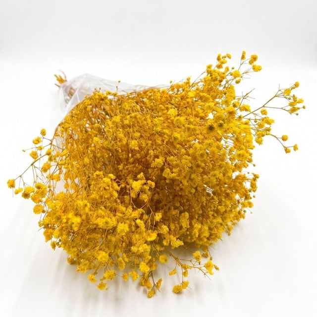 Preserved Baby's Breath Yellow