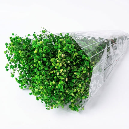 Preserved Baby's Breath Green - CocoBam