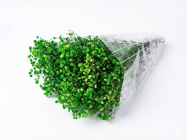Preserved Baby's Breath Green - CocoBam