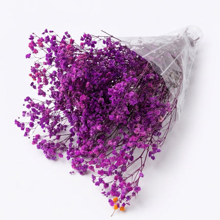 Preserved Baby's Breath Light Purple - CocoBam