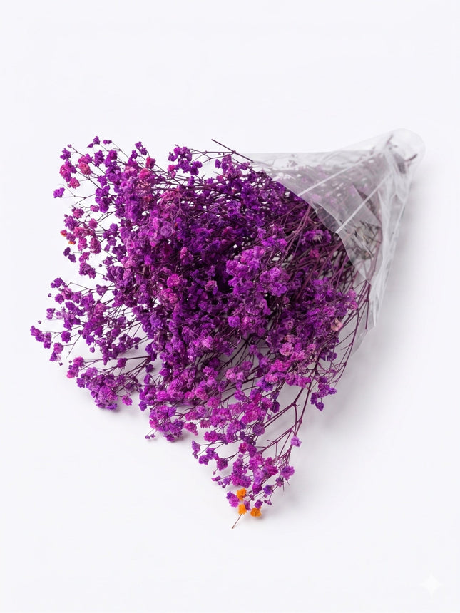 Preserved Baby's Breath Light Purple - CocoBam