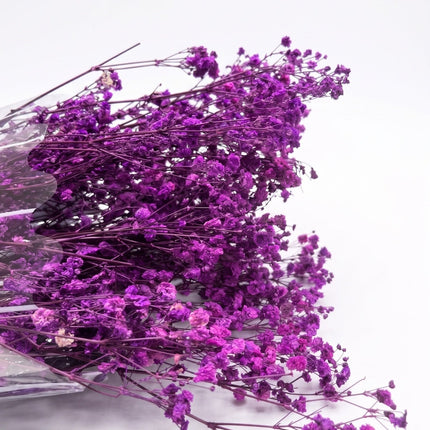 Preserved Baby's Breath Light Purple - CocoBam