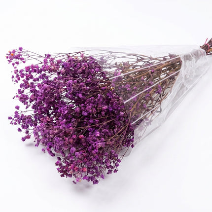 Preserved Baby's Breath Light Purple - CocoBam