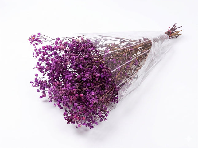 Preserved Baby's Breath Light Purple - CocoBam
