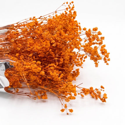 Preserved Baby's Breath Orange - CocoBam
