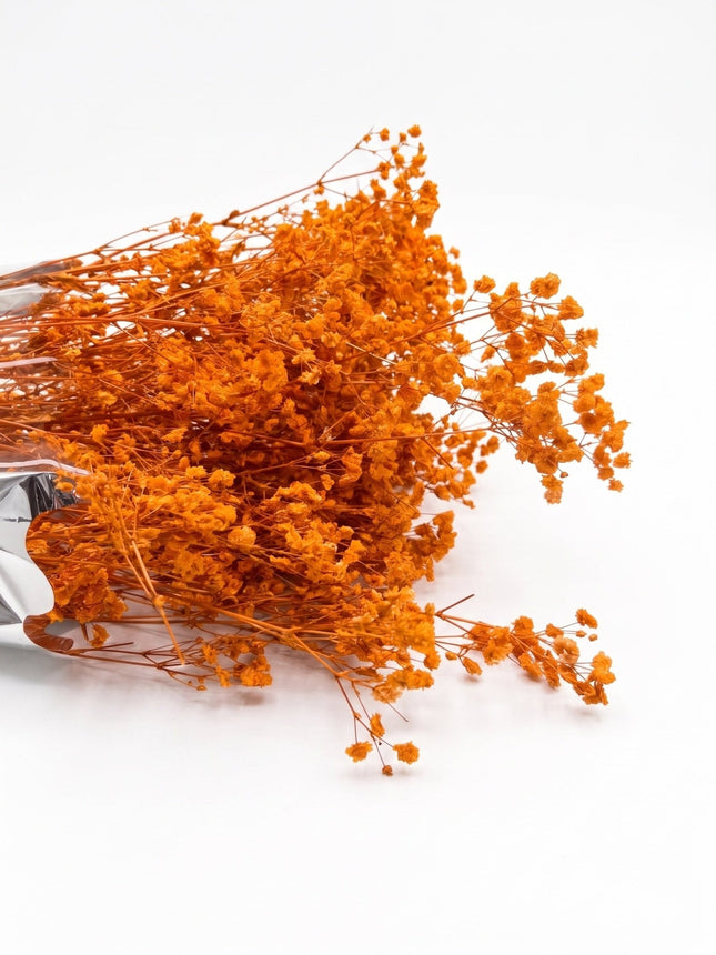 Preserved Baby's Breath Orange - CocoBam