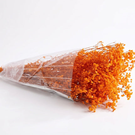 Preserved Baby's Breath Orange - CocoBam