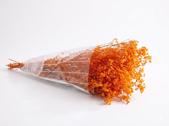 Preserved Baby's Breath Orange - CocoBam