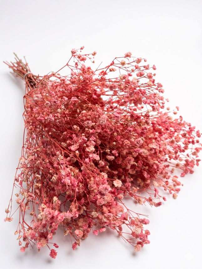 Preserved Baby's Breath Pink - CocoBam