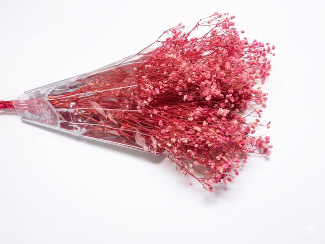 Preserved Baby's Breath Pink - CocoBam