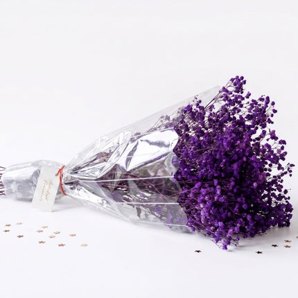 Preserved Baby's Breath Purple - CocoBam