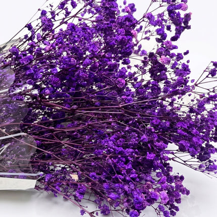 Preserved Baby's Breath Purple - CocoBam