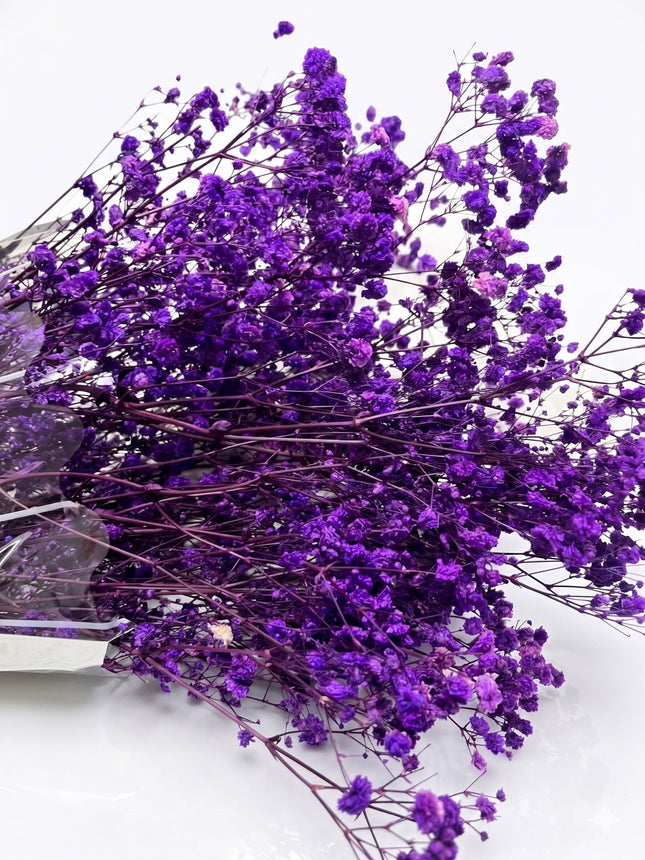 Preserved Baby's Breath Purple - CocoBam