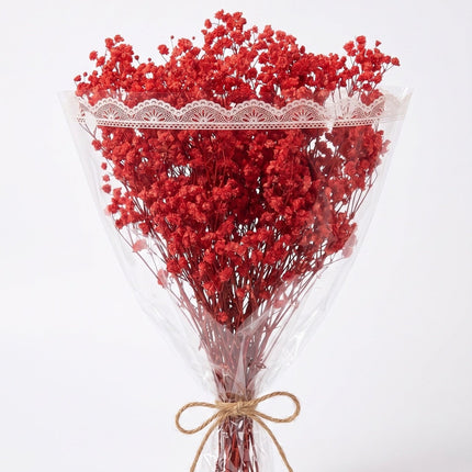 Preserved Baby's Breath Red - CocoBam