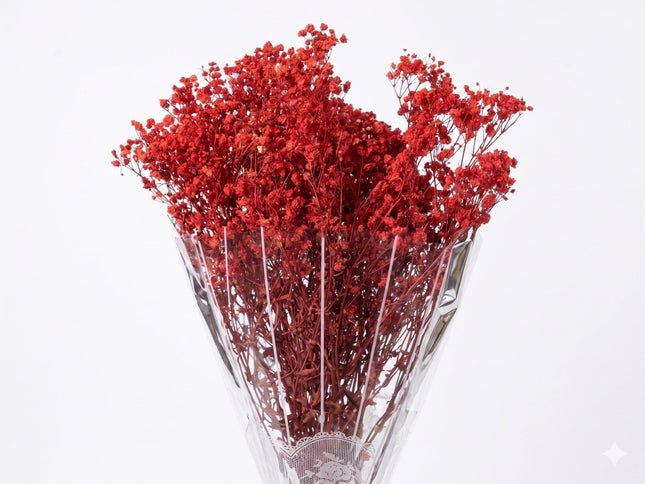 Preserved Baby's Breath Red - CocoBam