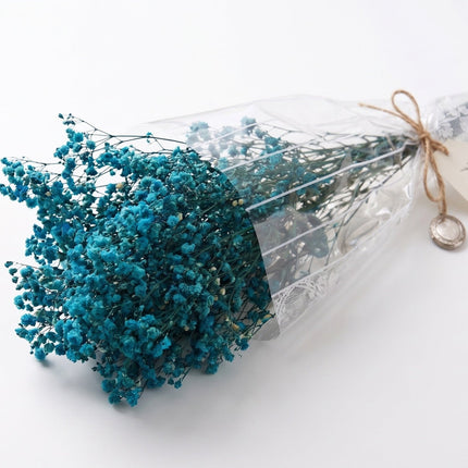 Preserved Baby's Breath Teal - CocoBam