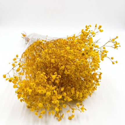 Preserved Baby's Breath Yellow - CocoBam