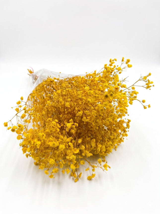 Preserved Baby's Breath Yellow - CocoBam
