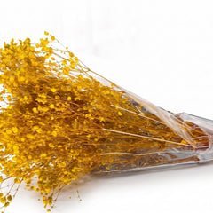 Preserved Baby's Breath Yellow - CocoBam