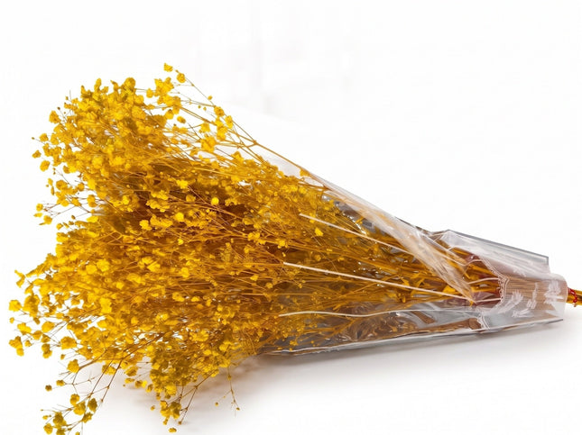 Preserved Baby's Breath Yellow - CocoBam