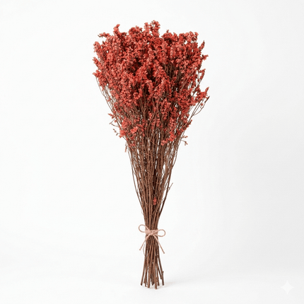 Preserved Crystal Grass (Limonium Caspia) Burnt Orange - CocoBam