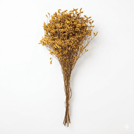 Preserved Crystal Grass (Limonium Caspia) Golden Yellow - CocoBam