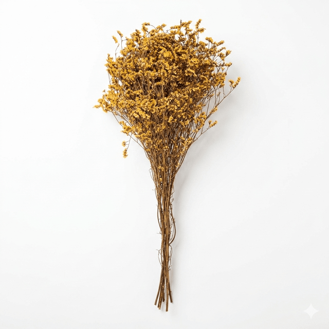 Preserved Crystal Grass (Limonium Caspia) Golden Yellow - CocoBam