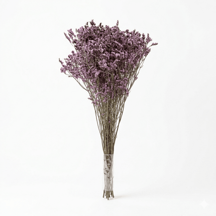 Preserved Crystal Grass (Limonium Caspia) Light Purple - CocoBam