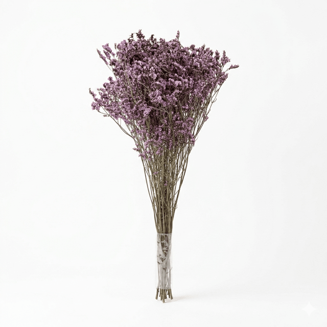 Preserved Crystal Grass (Limonium Caspia) Light Purple - CocoBam