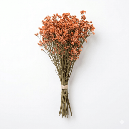 Preserved Crystal Grass (Limonium Caspia) Peach - CocoBam