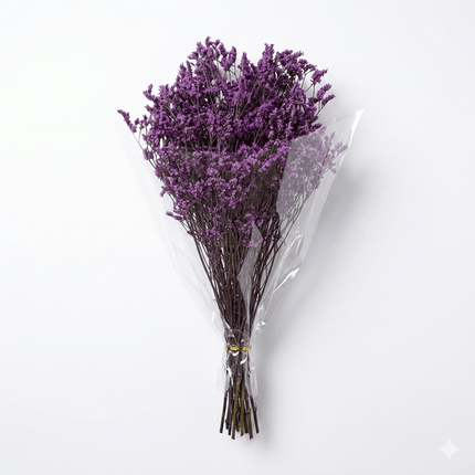 Preserved Crystal Grass (Limonium Caspia) Purple - CocoBam