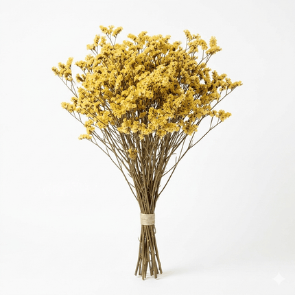 Preserved Crystal Grass (Limonium Caspia) Soft Yellow - CocoBam